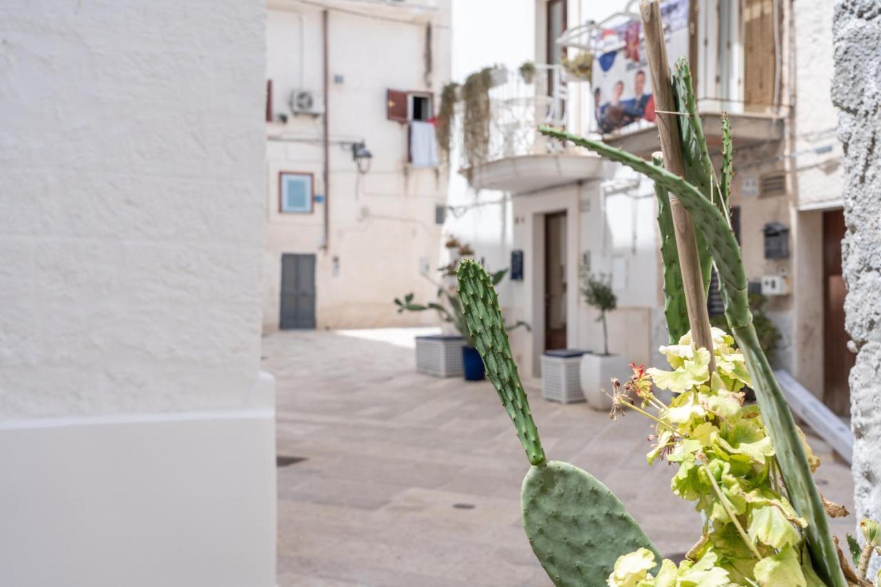 شقة Wineart House, Terracielo Indipendente Nel Centro Di مونوبولي المظهر الخارجي الصورة